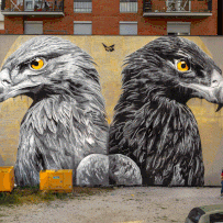 Eagles_Kosovo_WEB Nils Westergard
